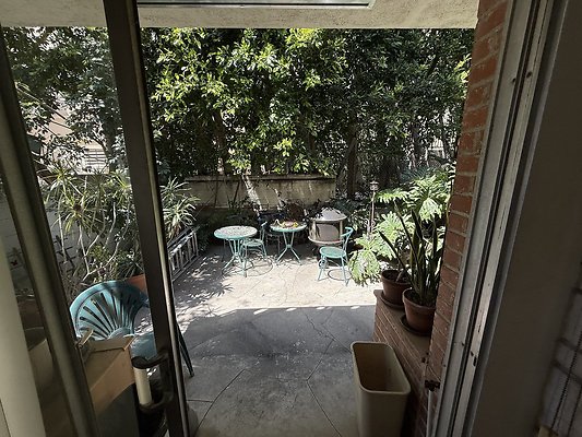 IMG 0650