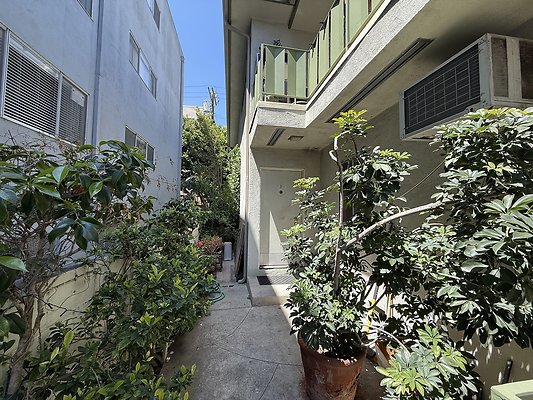 IMG 0676