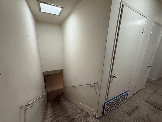 IMG 0612