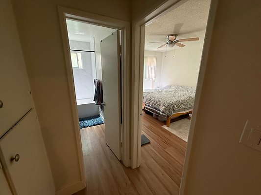 th IMG 0538
