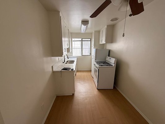 th IMG 0328