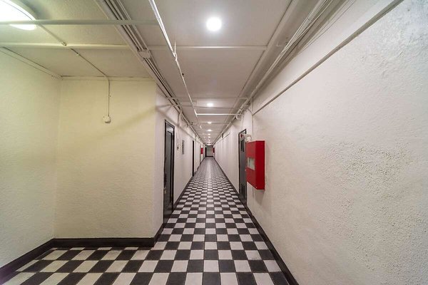 13991 basement 3