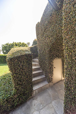 13769 patio 6