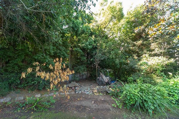 13851 garden 2