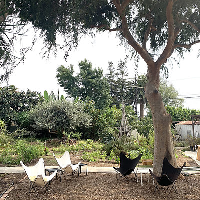 10043 garden 1