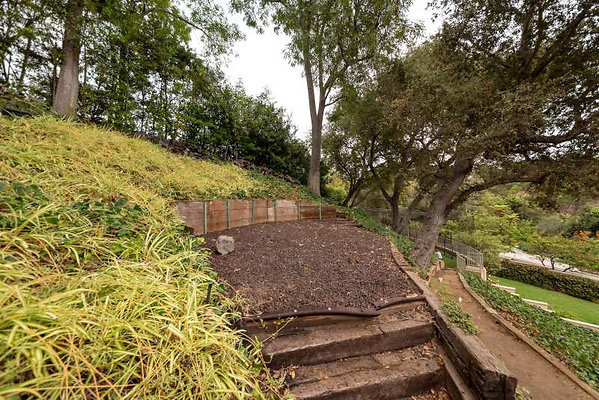 11393 garden 3