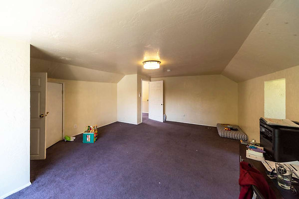 12394 attic 3