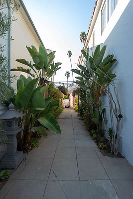 12961 drive 1