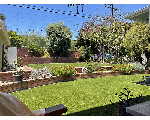 11149 garden 1
