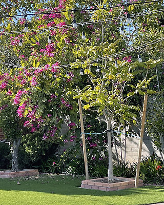 11149 garden 3