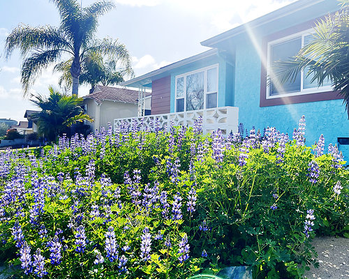11149 garden 2