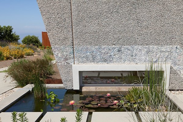pond (3)