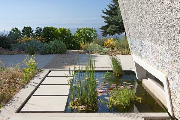 pond (4)