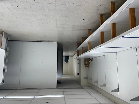 IMG 0376
