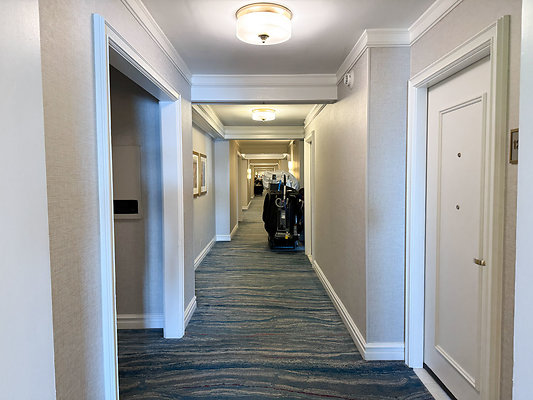 IMG 2619