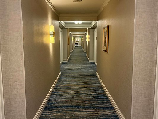 IMG 9442