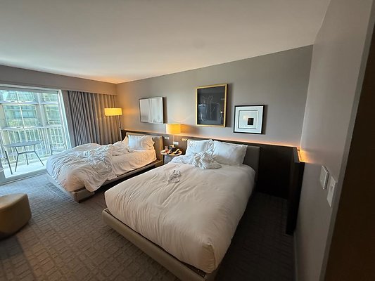 th IMG 2294