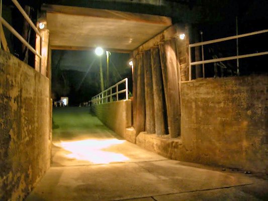 DSCN3651