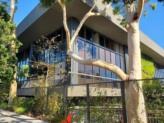 CapEquityPicoTechOffices98