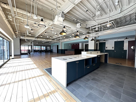 UNIVERSAL-CW272-WLA-221