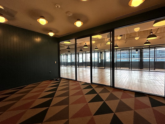 UNIVERSAL-CW272-WLA-233