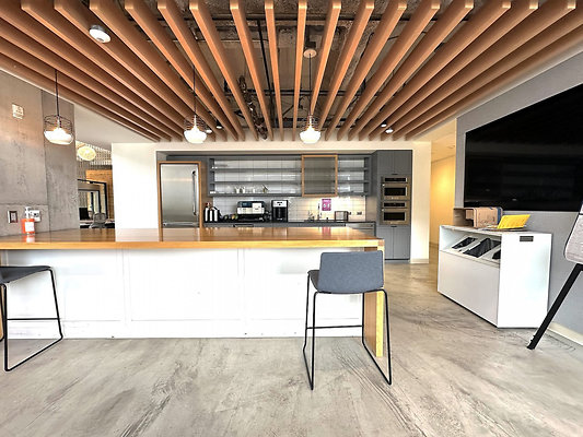 UNIVERSAL-CW272-WLA-48