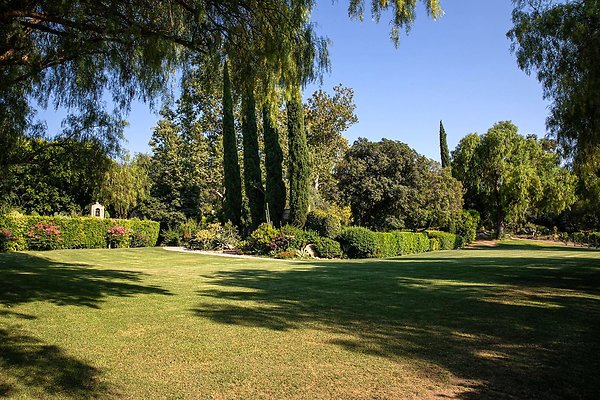 Peppertree Lawn
