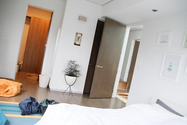 UNIVERSAL-A059-VEN-20