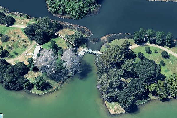 Screenshot 2025-09-19 at 2.31.42 PM