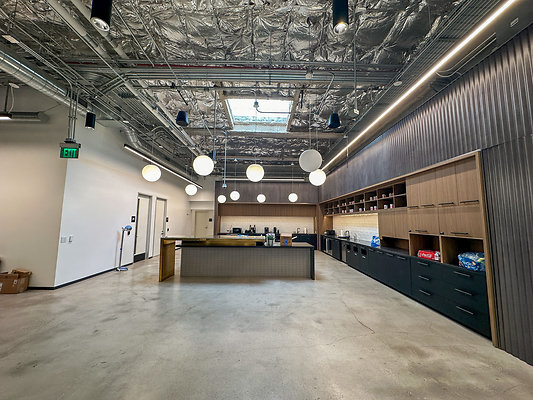 UNIVERSAL-C208-LA-115