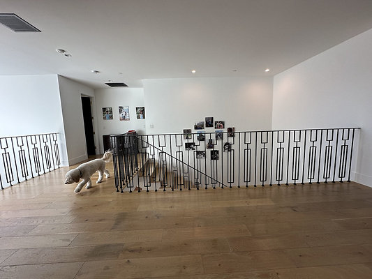 UNIVERSAL-CW217-CHV-56