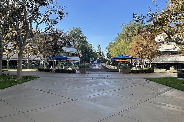 Photo-Nov-08-2-41-51-PM