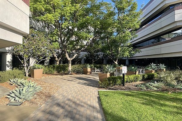 Photo-Nov-08-3-05-15-PM