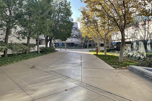 Photo-Nov-08-2-43-17-PM