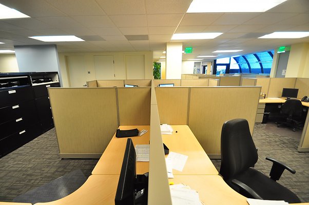 UNIVERSAL-8699-CVC-38