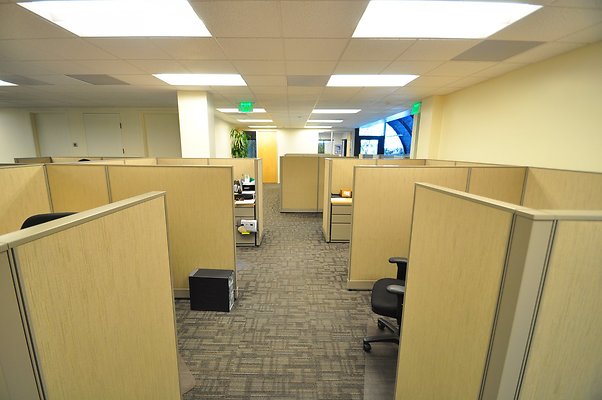 UNIVERSAL-8699-CVC-43