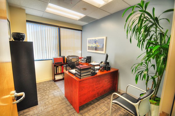 UNIVERSAL-8699-CVC-13