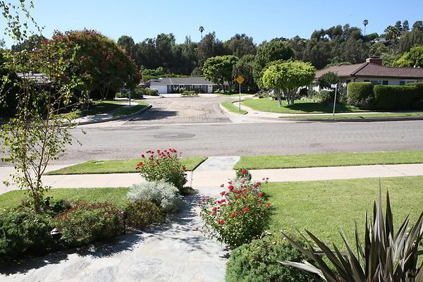 ewloc IMG 9414Move ewloc IMG 9414Move