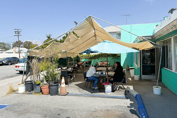 IMG 4849