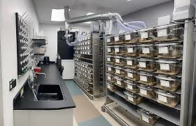 images-1