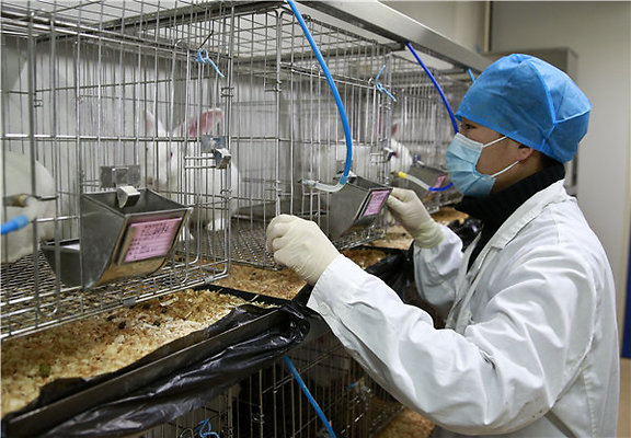 LAB SAMPLE
