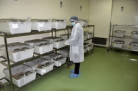 images-6