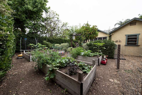 11035 garden 2 11035 garden 2