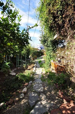 1959 walk 3 1959 walk 3