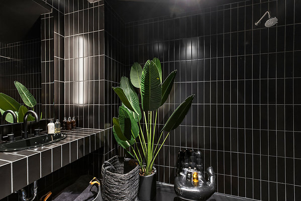 UNIVERSAL-CW174-WLA-67 UNIVERSAL-CW174-WLA-67