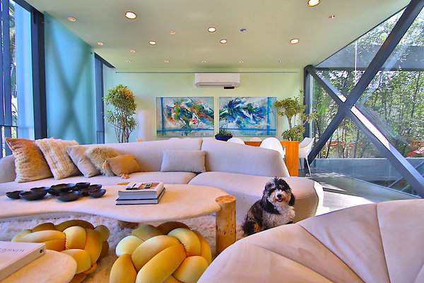 UNIVERSAL-CW127-VEN-54 UNIVERSAL-CW127-VEN-54