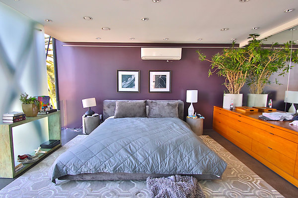 UNIVERSAL-CW127-VEN-85 UNIVERSAL-CW127-VEN-85