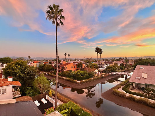 UNIVERSAL-CW127-VEN-48 UNIVERSAL-CW127-VEN-48