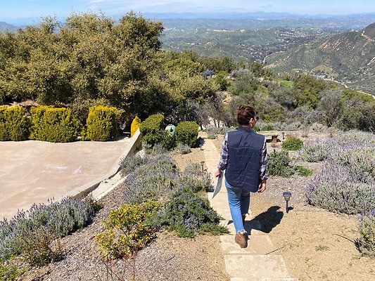 StoneMountainEstates 2023-03-28 STST 072 2 StoneMountainEstates 2023-03-28 STST 072 2