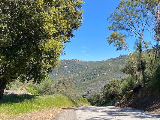 StoneMountainEstates 2023-03-28 STST 126 2 StoneMountainEstates 2023-03-28 STST 126 2